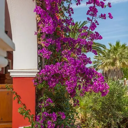 Tropical Studios Laganas Exterior photo